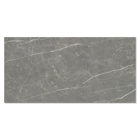Marmor Klinker Prestige Mörkgrå Polerad 30x60 cm